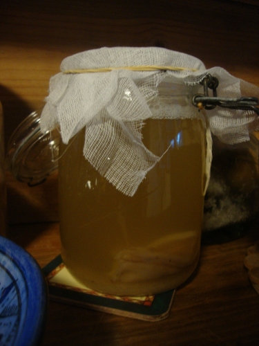 Kombucha.jpg