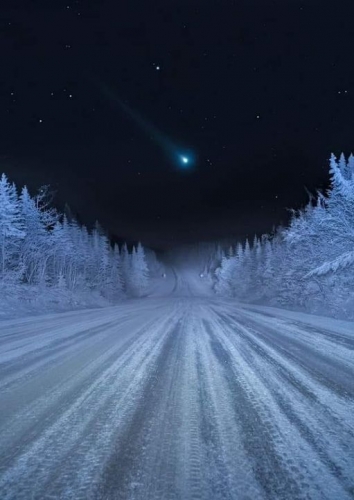 Comète Leonard dans la nuit canadienne.jpg