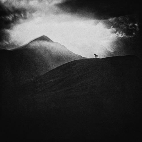 Ando Fuchs.jpg