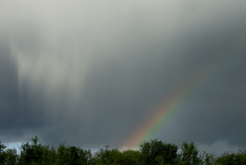 2026 04 13 après le coucou.JPG