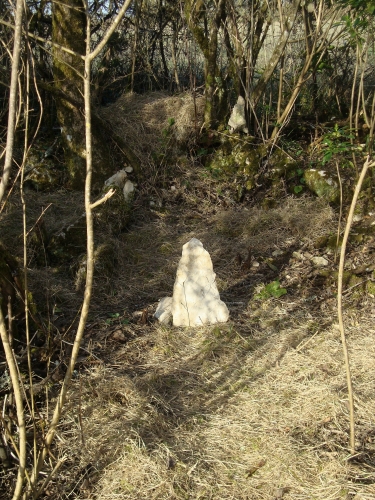 DSC05748.jpg