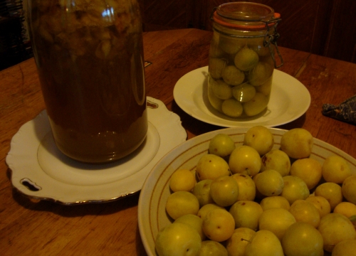 DSC07165.JPG