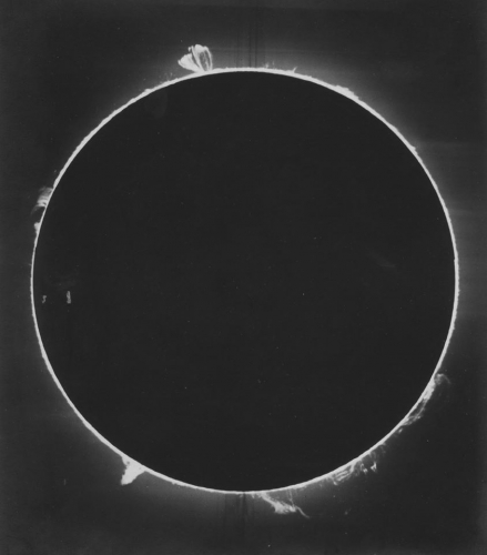 Unidentified Photographer - “Eclipse” - d. 1929..jpg