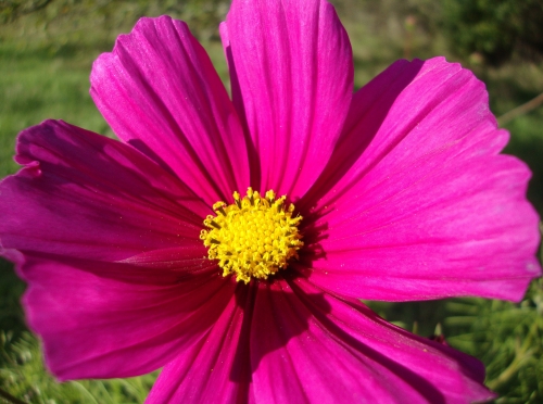 DSC07683.JPG