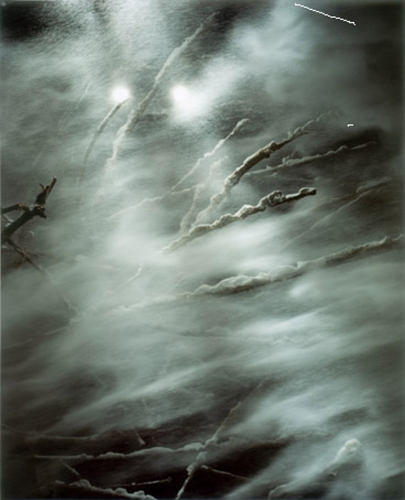 Sonja Braas Forces _Blizzard_2006.jpg