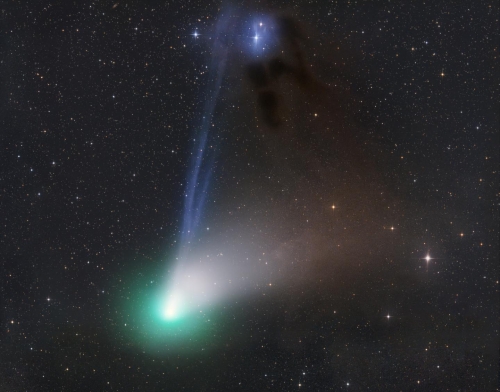 Gerald Rhemann Comet C 2023 P1 Nishimura 2023 .jpg