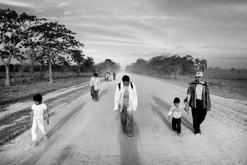 MadsNissen_AMazonas ZBook_pres022.jpg