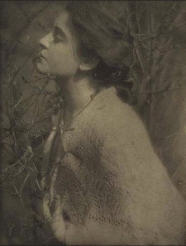eduard-steichen-lilac-buds-mrs-s-from-camera-work-no-14-photogravure-on-japan-tissue-1906.jpg