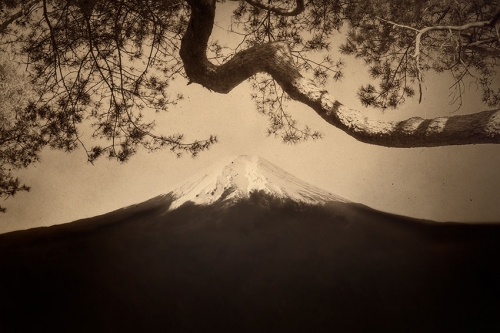 Paul Cupido Mount Fuji #12, 2019 .jpeg