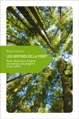 Les-vertiges-de-la-foret_Transboreal_Remi_Caritey.jpg