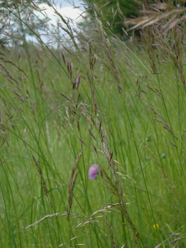 DSC09003.JPG