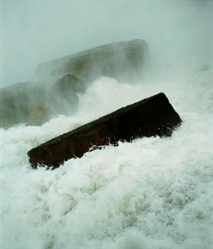 Sonja Braas Forces #1.jpg