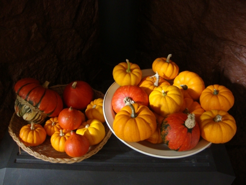 DSC07738.JPG