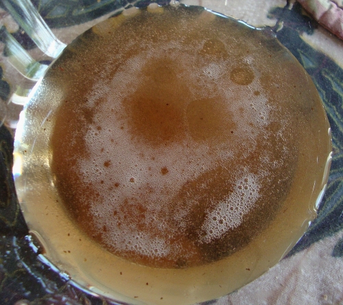 Cheong d'aronias 2026 03 23 (2).JPG