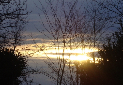 2025 12 15 morning light.JPG