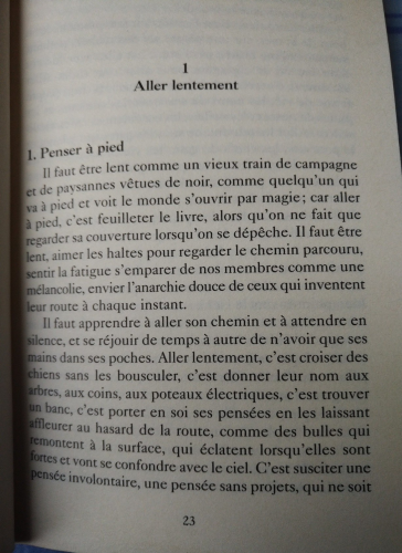 La pensée méridienne ou le monde vu du sud écrit par Franco Cassano intro.png