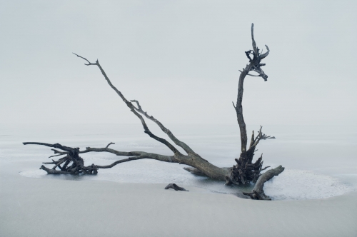 Petros Koublis 8.jpg