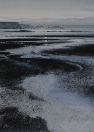 Naomi Tydeman 2454.jpg
