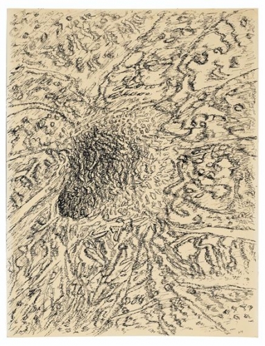 Henri Michaux dessin mescalinien 1955.Jpeg