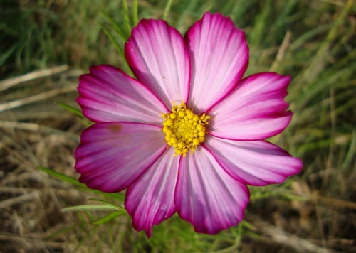 DSC07025.JPG