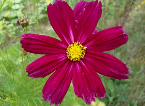 DSC07312.JPG