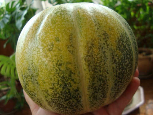 DSC00247.JPG
