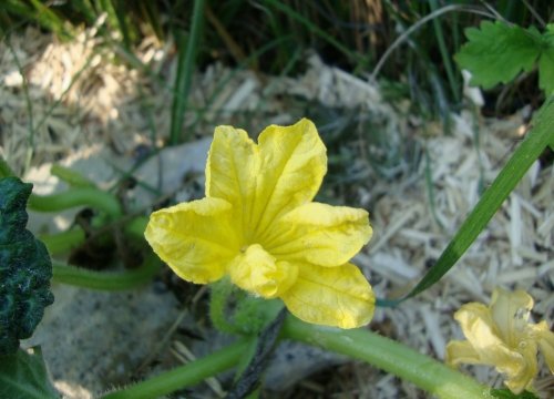 DSC09557.JPG