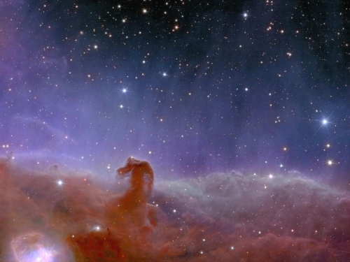 Euclid- Nébuleuse de la tête de cheval-constellation d'Orion.jpg
