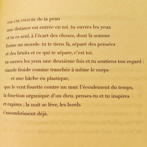 Levin Westermann, traduit de l'allemand par @MarinaSkalova (Cheyne, 2025).jpg