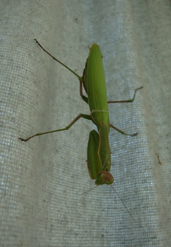 DSC07696.JPG