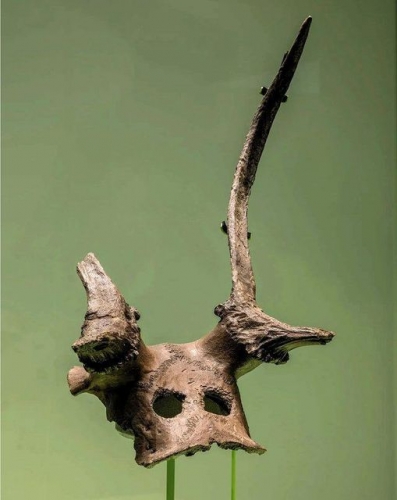 crânes de cerf  datant de 11 000 ans  au site archéologique mésolithique Star Carr, Scarborough, North Yorkshire, Angleterre par Josh Murfitt _n.jpg