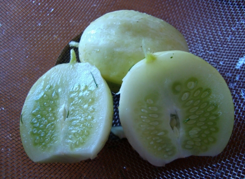 concombres lemon (2).JPG