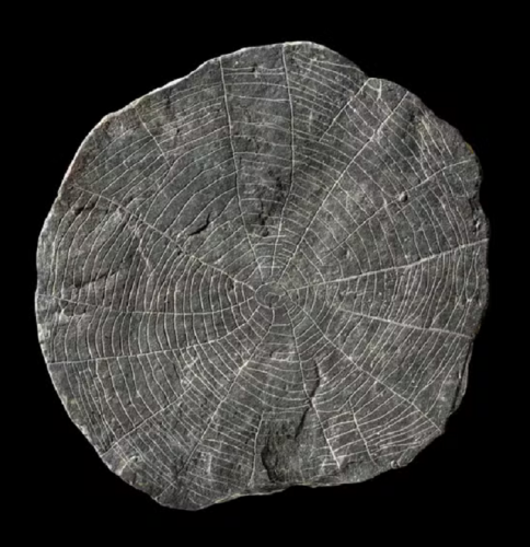 Pierres dites du Soleil - Vasagard, île de Bornholm (Danemark)  3000bc.png