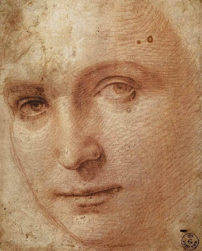 Raphael - Head of a Youth - 1500's_n.jpg