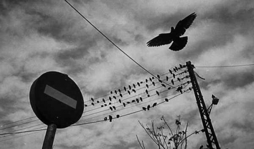 Sotiris Lamprou_54018433922_n1.jpg