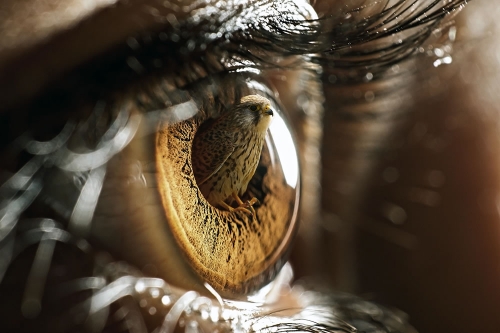 Jyo John Mulloor 2.jpg