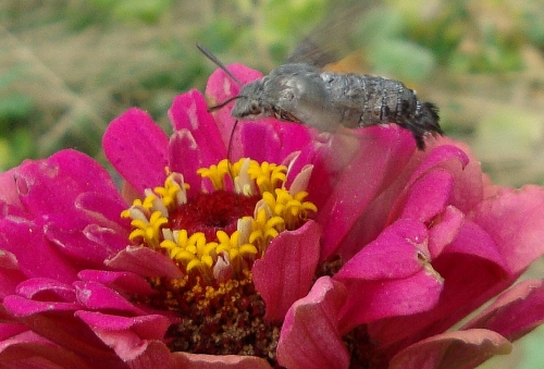 DSC07495.JPG