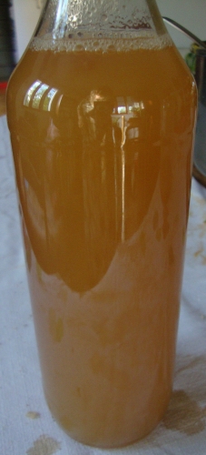 DSC00707.JPG