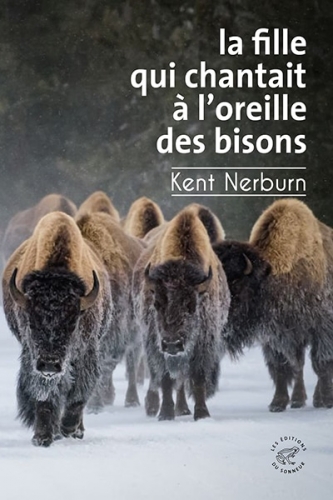 couvbisonsNerburnsite.jpg