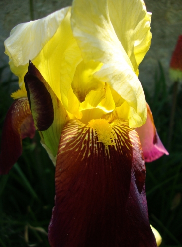 DSC06580.JPG