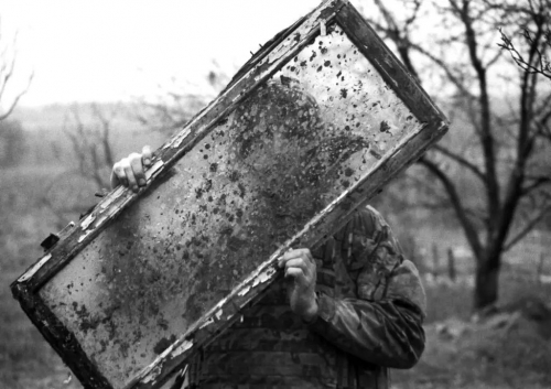 maksym kryvtsov Ukraine.jpg