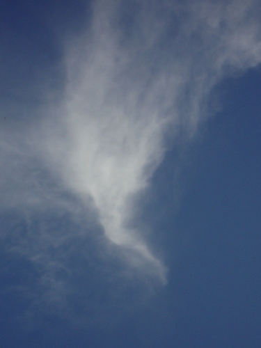 DSC00044.JPG
