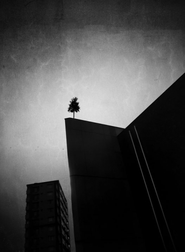 Makoto Saito Urban lonelyness_n.jpg