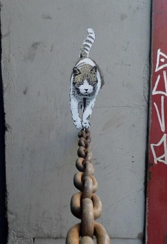 Jamie Paul Scanlon-street-art-cat-barcelona-1.png