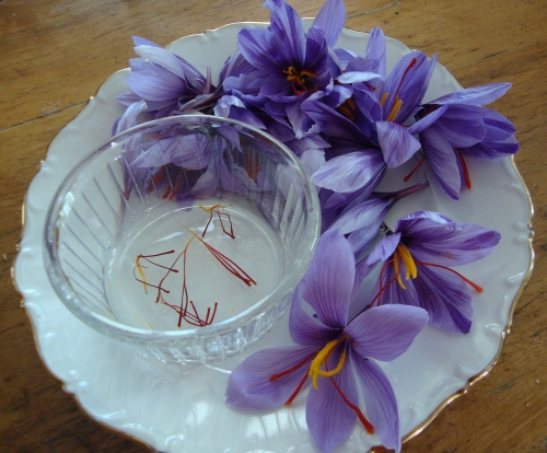 DSC07702.JPG