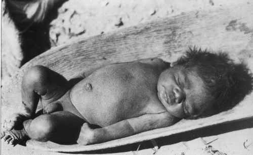 Balwin Spencers  ancient traditional cradle the coolamon Aboriginal.jpg