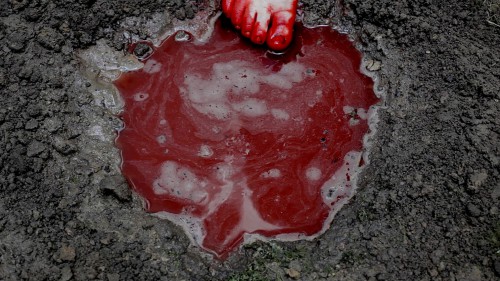 chiharu shiota earth and blood.jpg