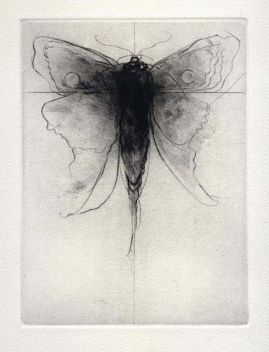Amy Georgia Buchholz imaginary moth.jpg