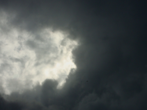 DSC08907.JPG