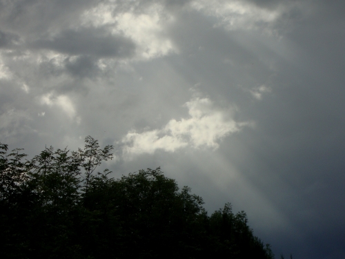 DSC08898.JPG